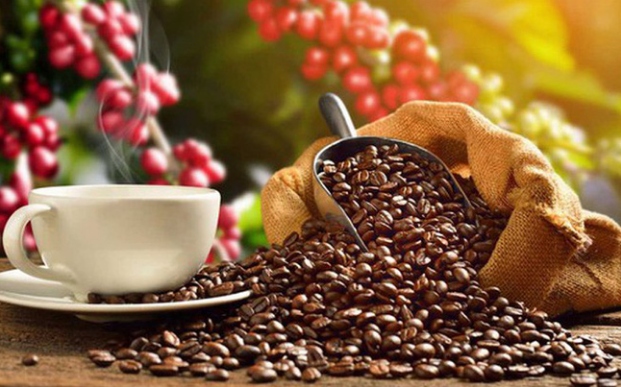 Vietnam is largest coffee supplier to Spain